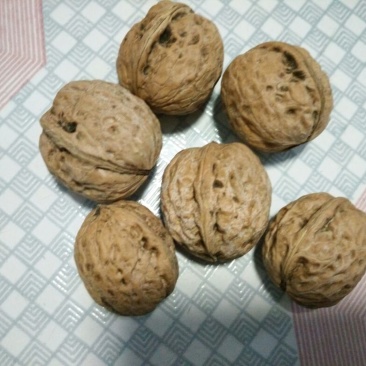 薄皮核桃去皮