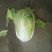 大白菜4~6斤