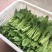 白菜苔