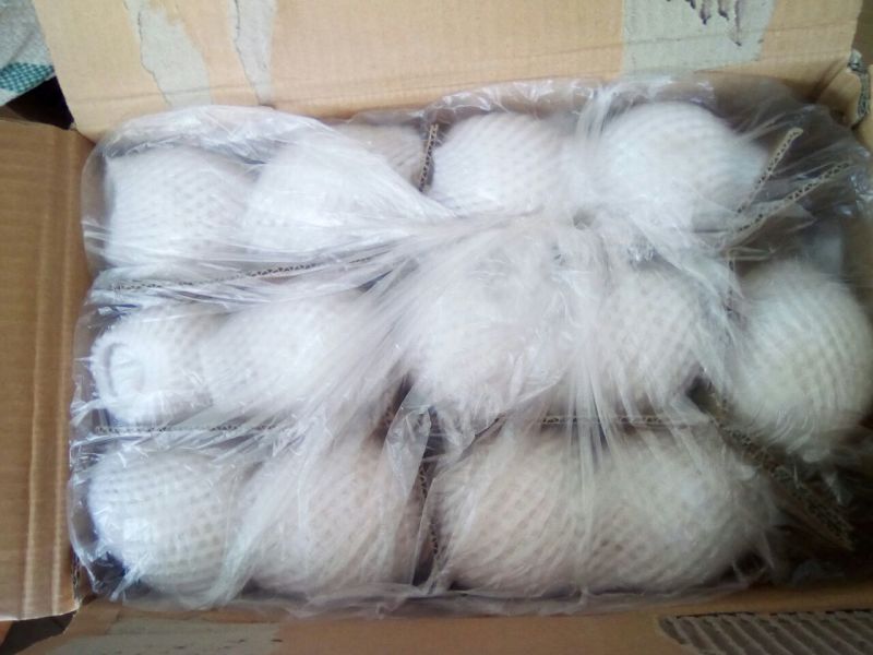 皇冠梨300~350g纸袋