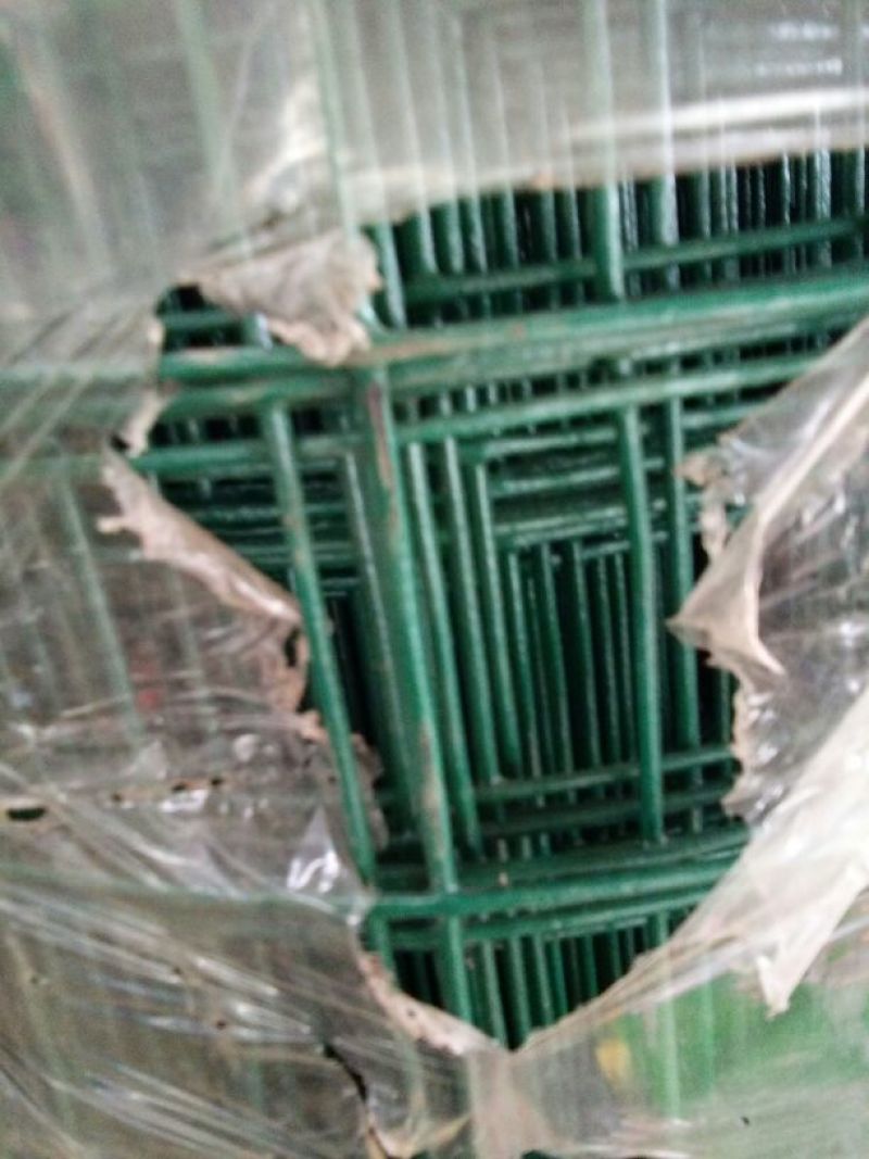 荷兰网
