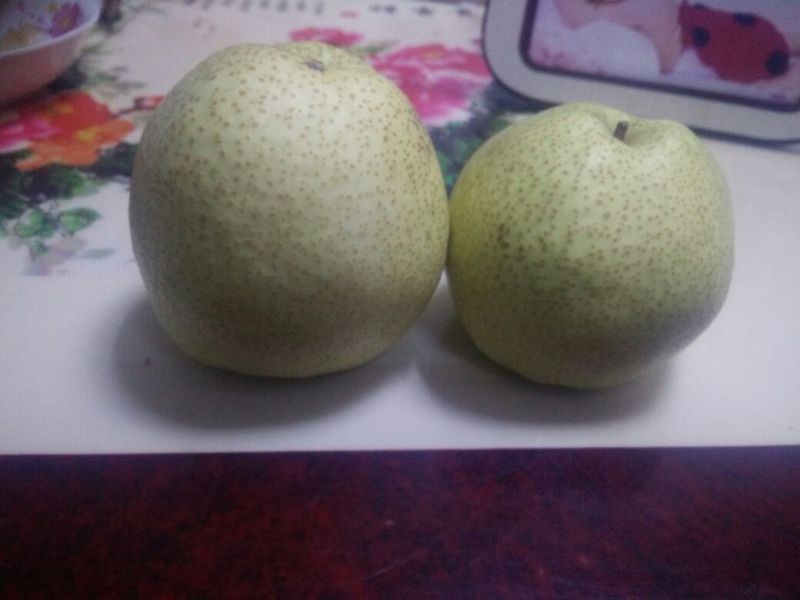 酥梨200~250g膜袋