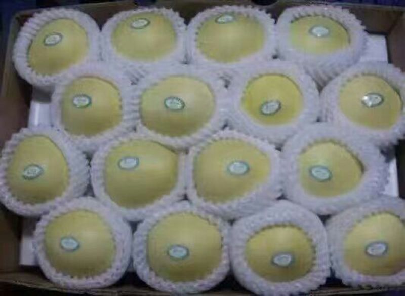 皇冠梨500~550g纸箱