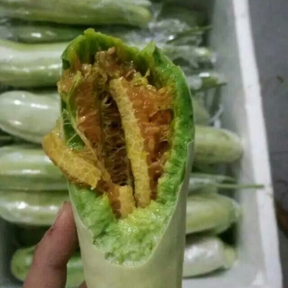 山东省莘县瓜果菌菜批发市场甜瓜 0.5斤以上批