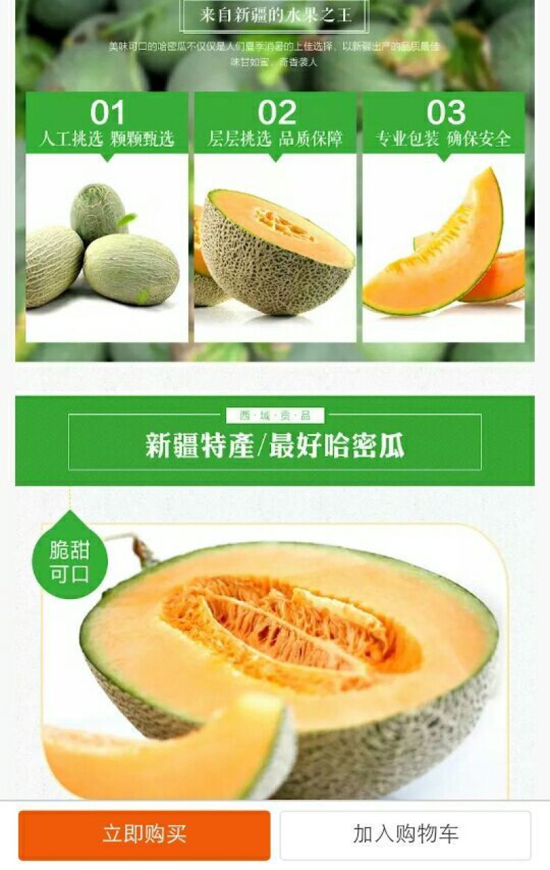 西州蜜瓜3斤以上椭圆形