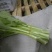 白菜苔15~20厘米
