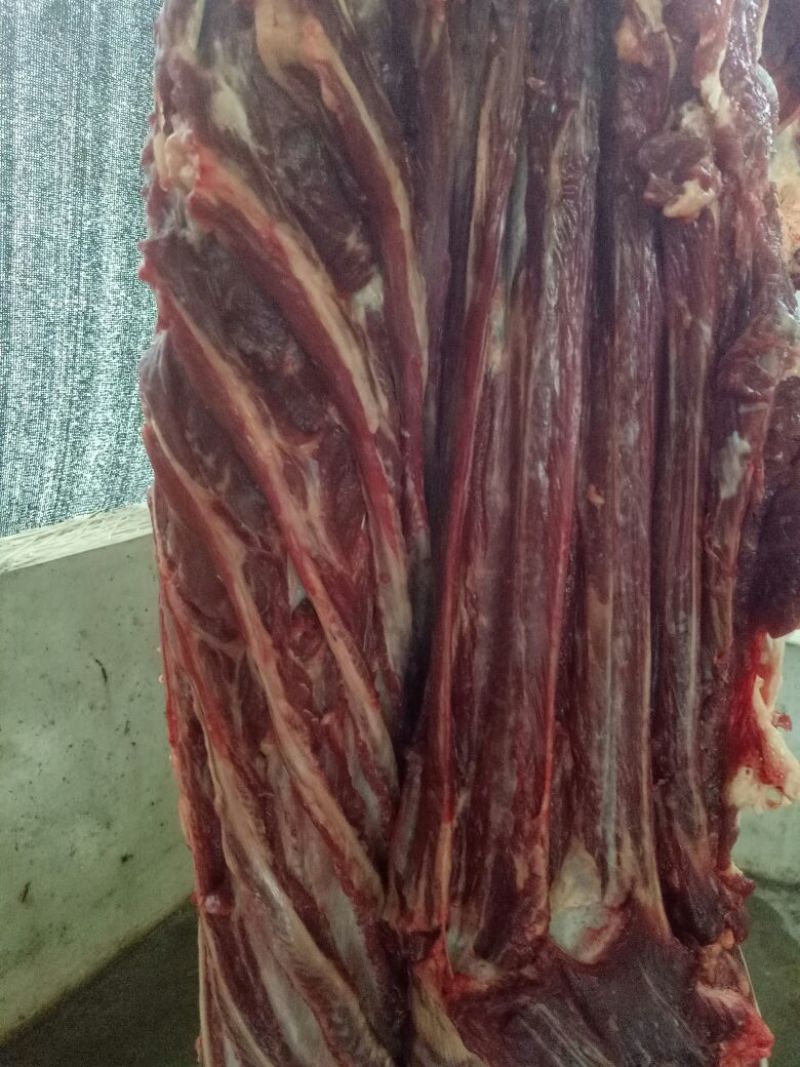 驴肉鲜货