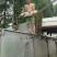 青鱼