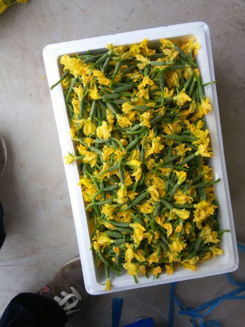 小黄瓜鲜花带刺18公分以下新鲜水分小量大价优