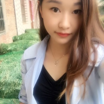 黄花菜种苗