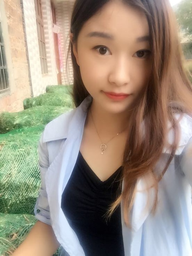 黄花菜种苗