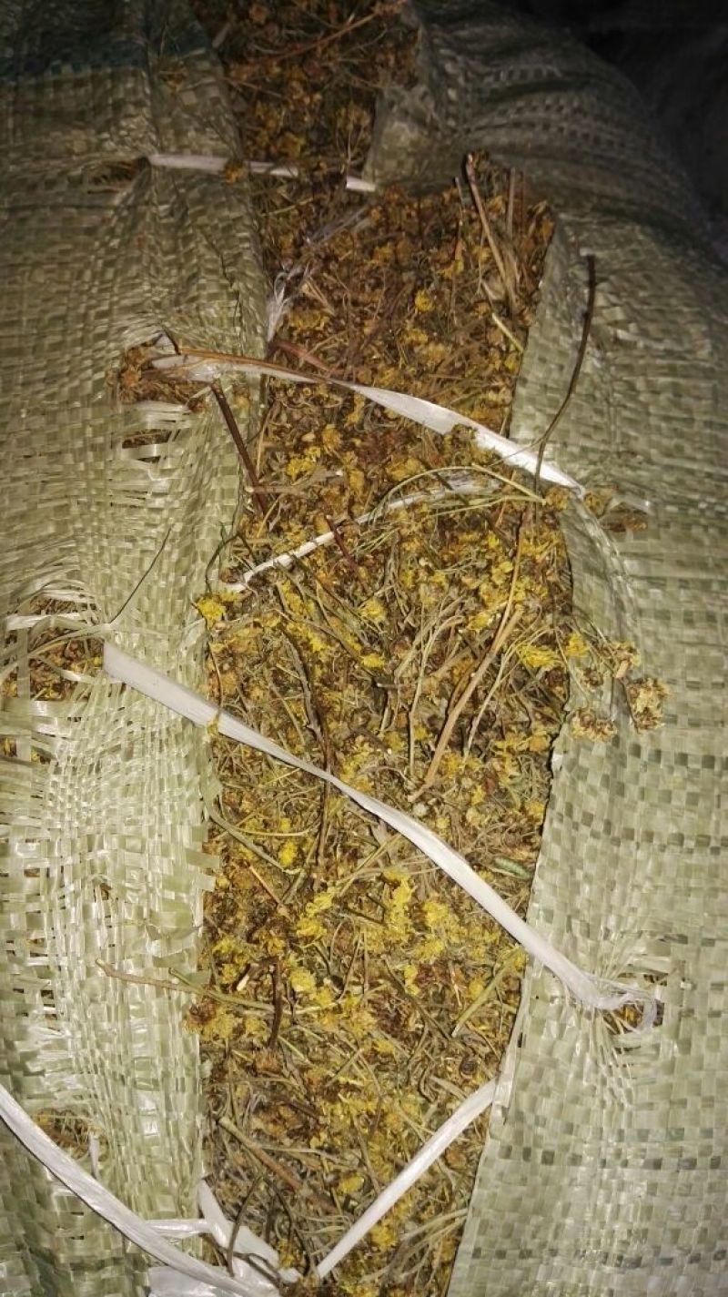 野菊花统货