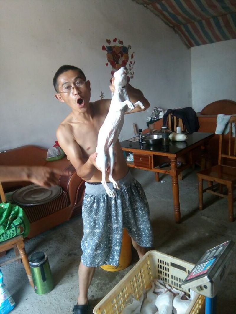 兔肉3~5