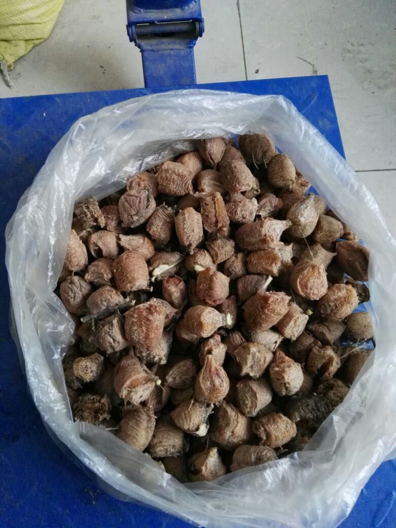 中药材
