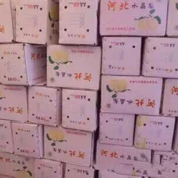 皇冠梨