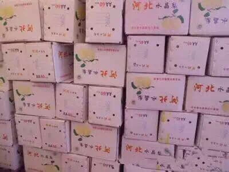 皇冠梨