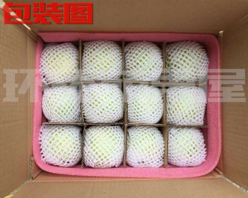 酥梨300~350g纸箱