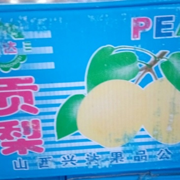 贡梨250~300g纸加膜