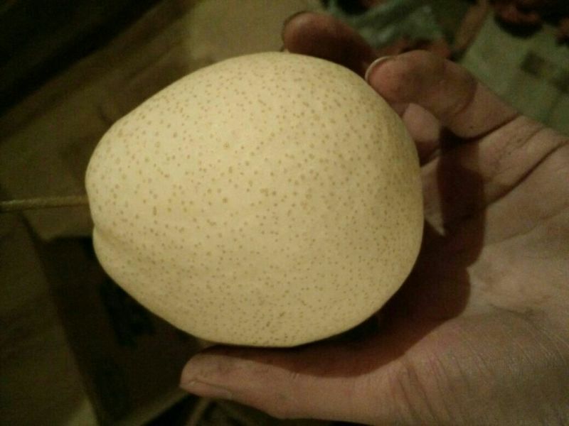 酥梨纸箱250~300g