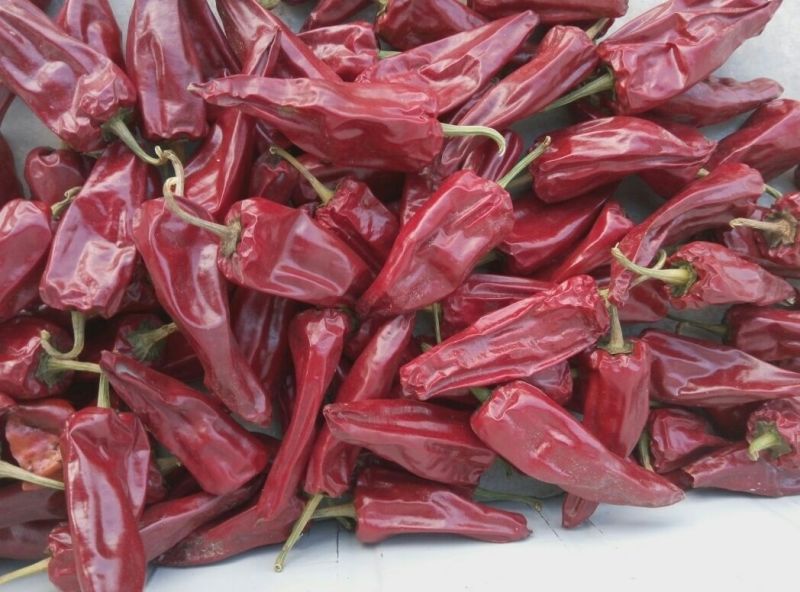 北京红干辣椒一般花皮9成干以上
