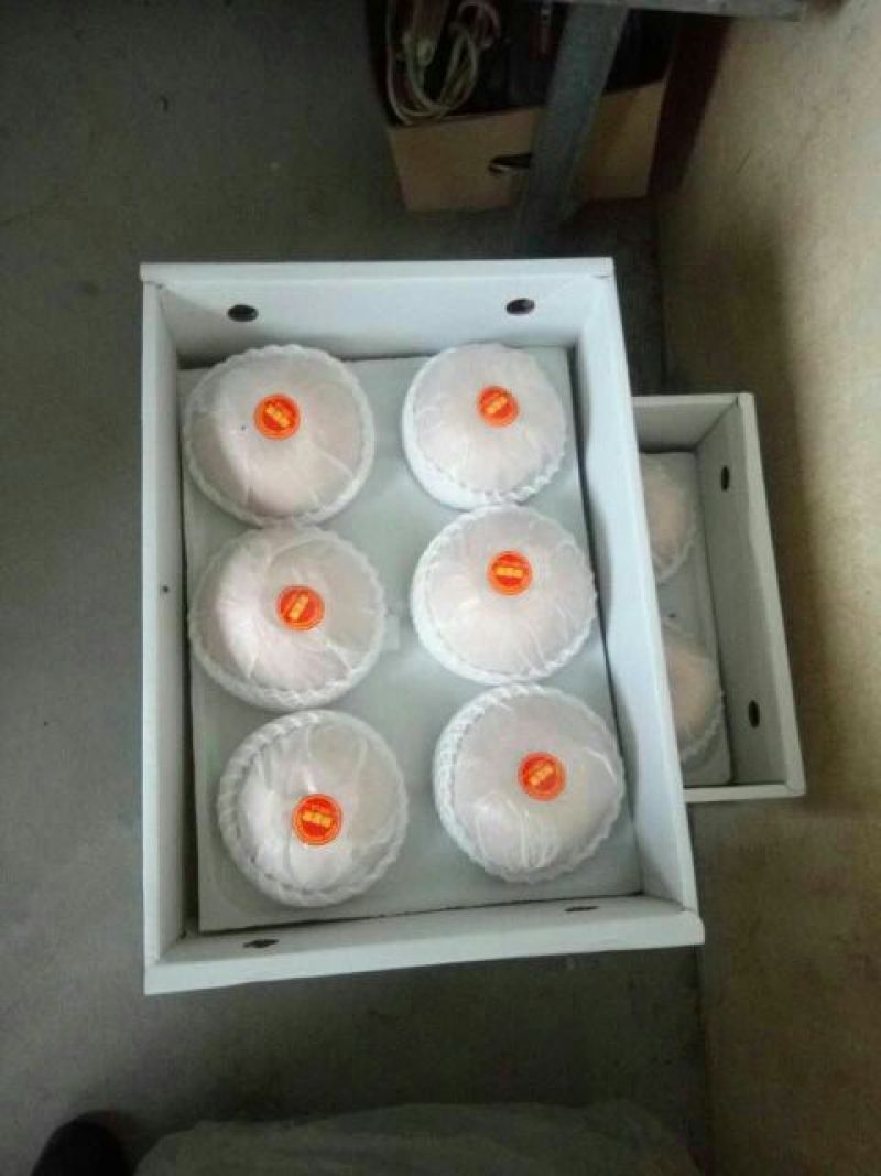 韩国新高梨600g以上纸箱