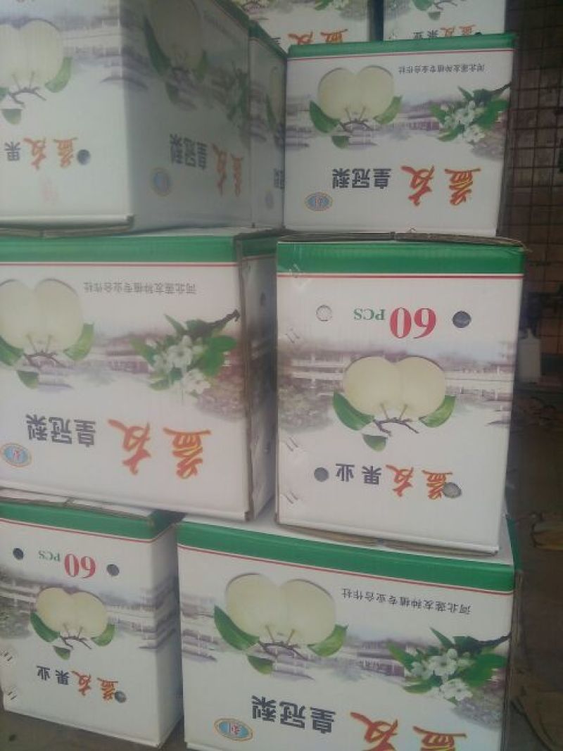 皇冠梨250~300g纸袋