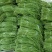 长豆角80厘米以上，走市场，加工厂，大量供应。