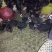 脱温鸡1斤以下