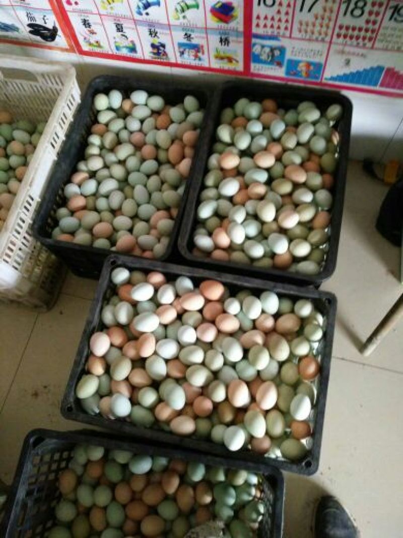 绿壳鸡蛋食用40~50g