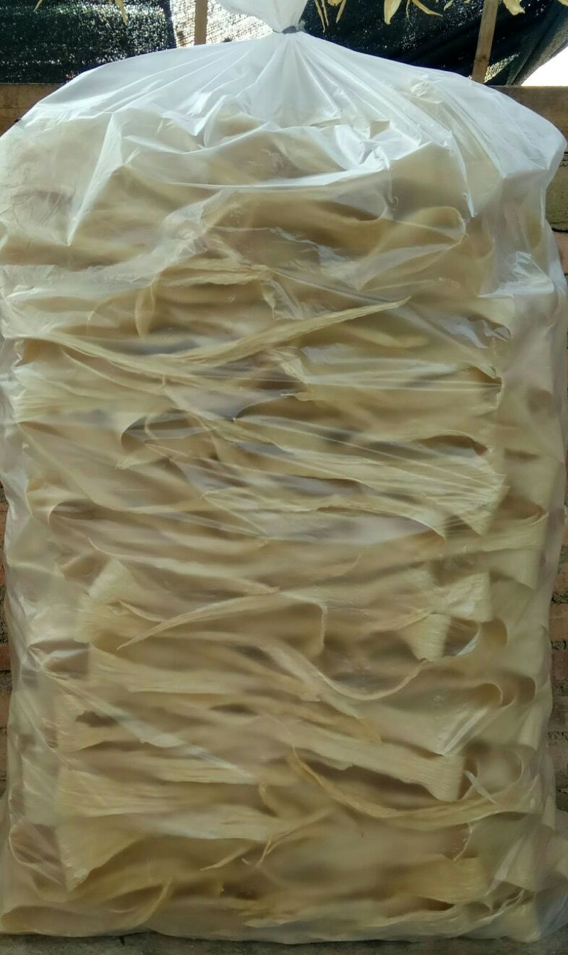 腐竹散装