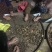 精选优质茶树油，自产自销，欢迎全国各地老板咨询量大从优