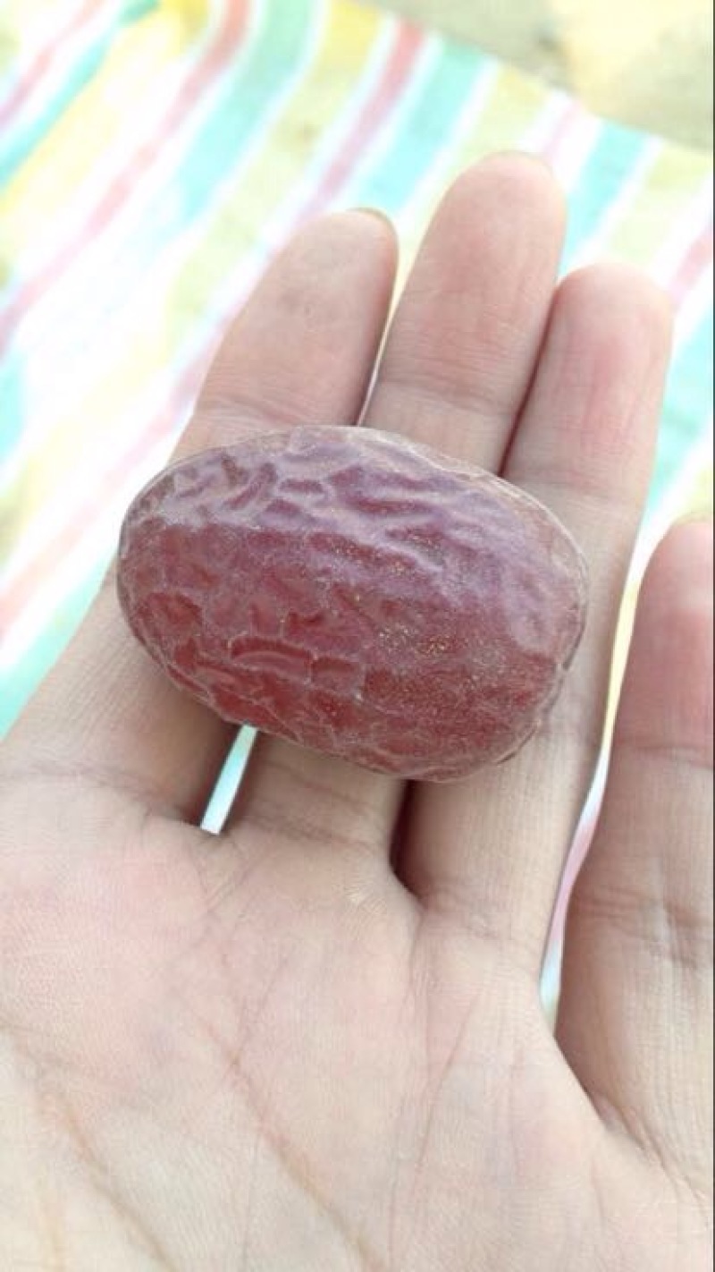 灰枣特级干枣