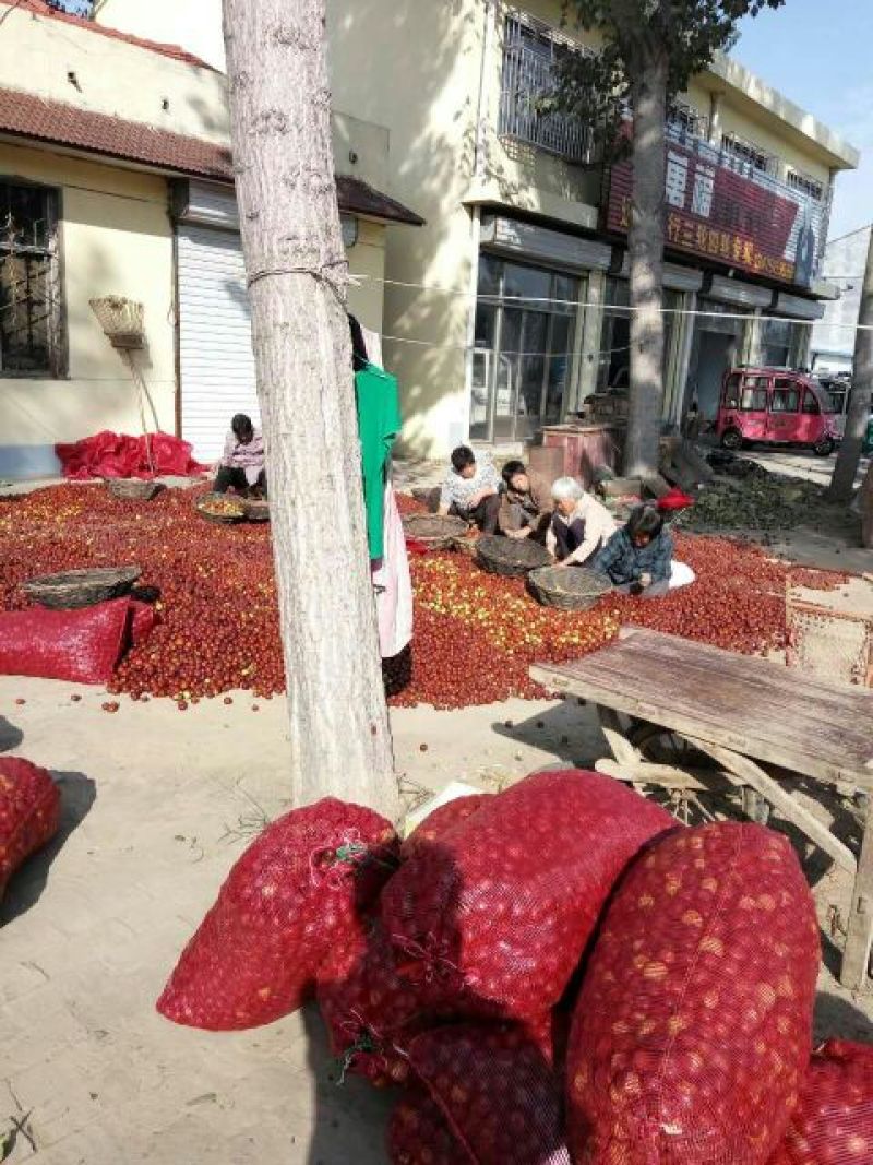 余甘果果脯乌枣