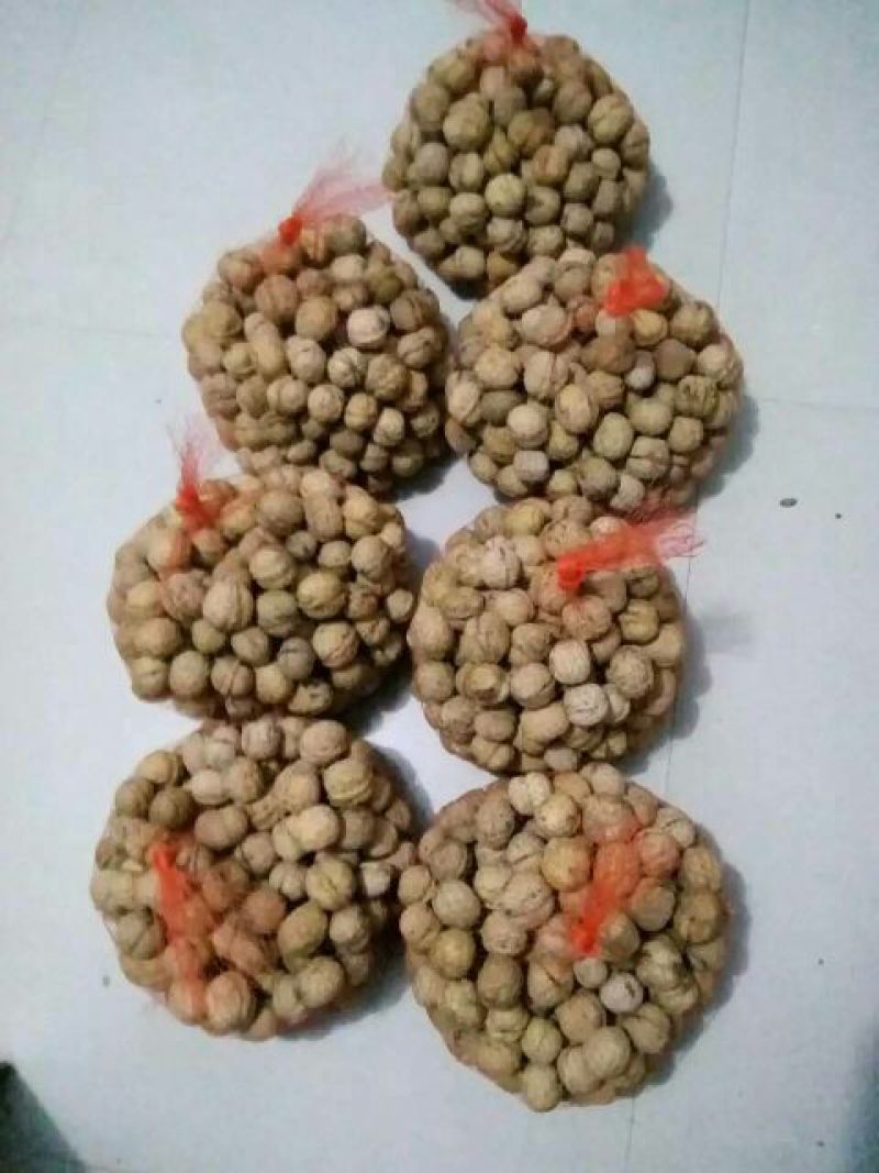 薄皮核桃去皮干