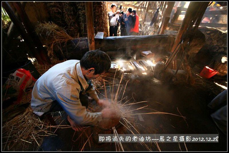 粮油作物