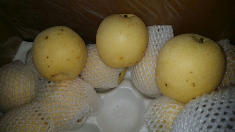 皇冠梨