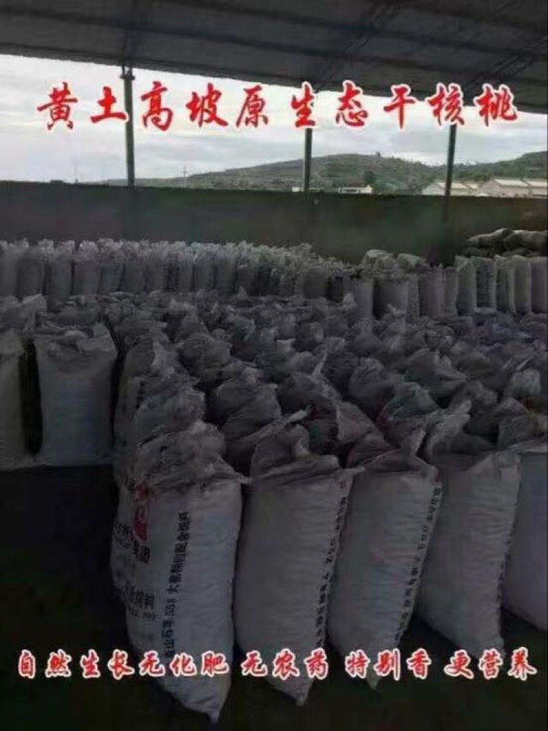 山核桃