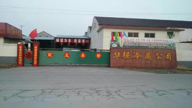 荷兰十五土豆3两以上个头大，颜色亮，薯型好，保鲜好