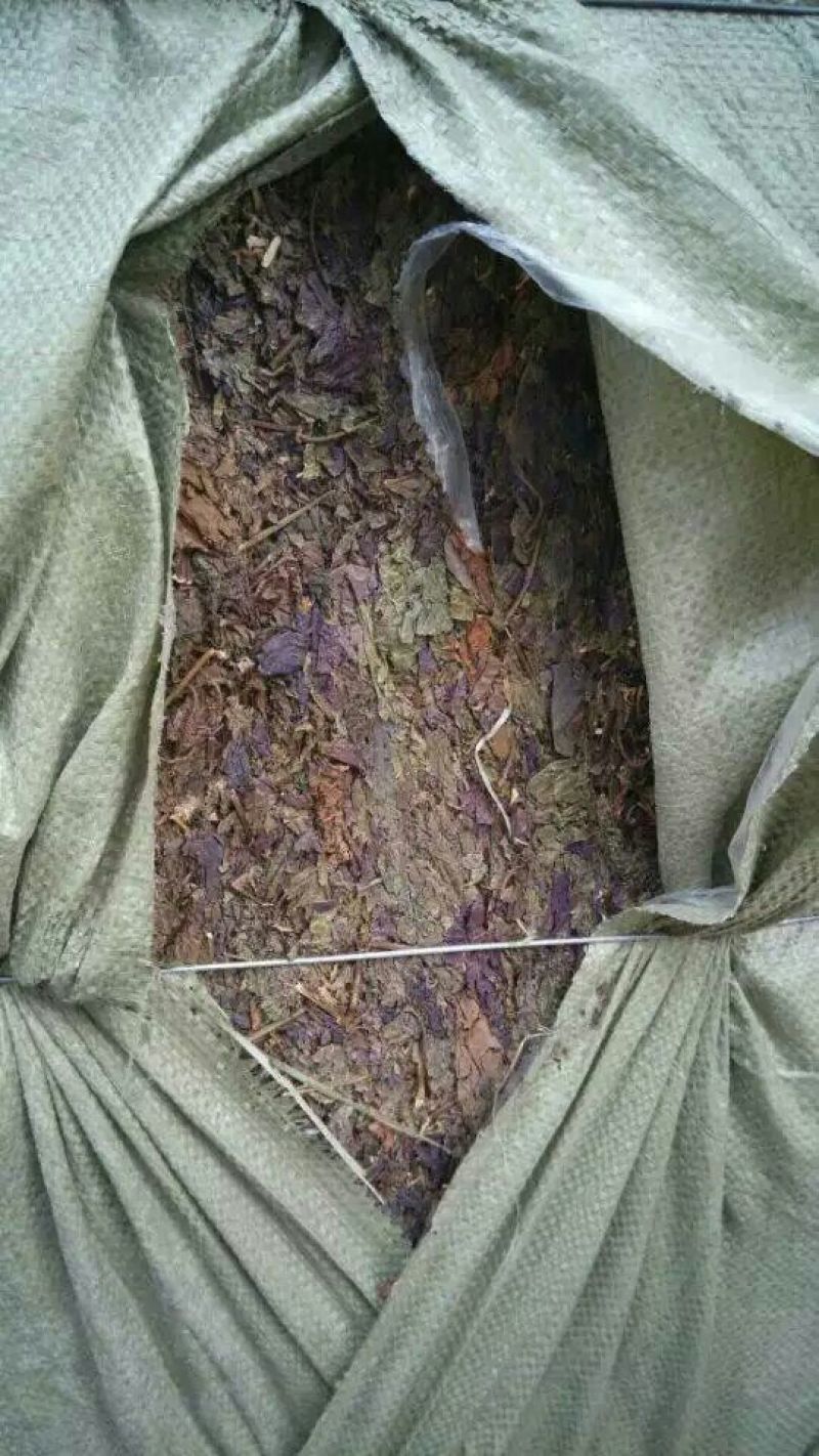 紫苏叶紫苏片紫苏梗紫苏紫苏段紫苏籽紫苏专营