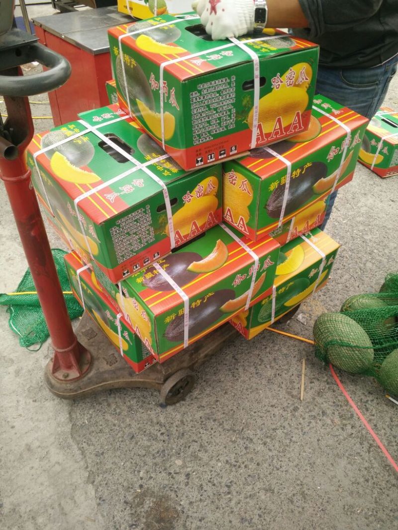 伽师瓜7斤以上长圆形