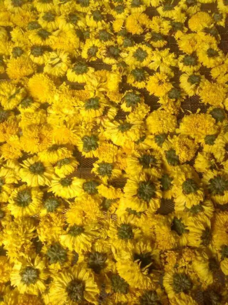 菊花茶