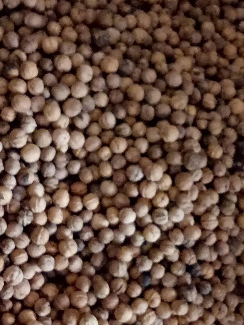 薄皮核桃30mm以上去皮干