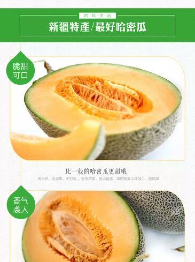 西州蜜瓜3斤以上椭圆形