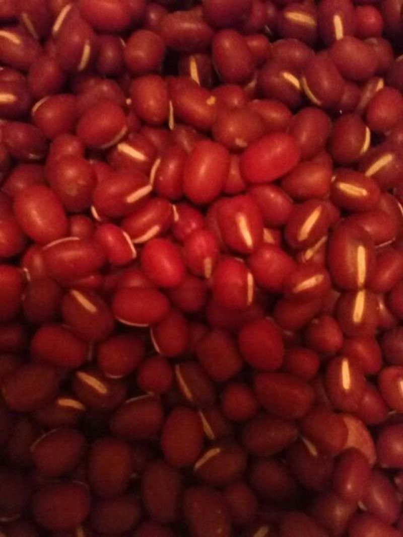 红小豆散装