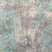 花椒苗0.5~1年