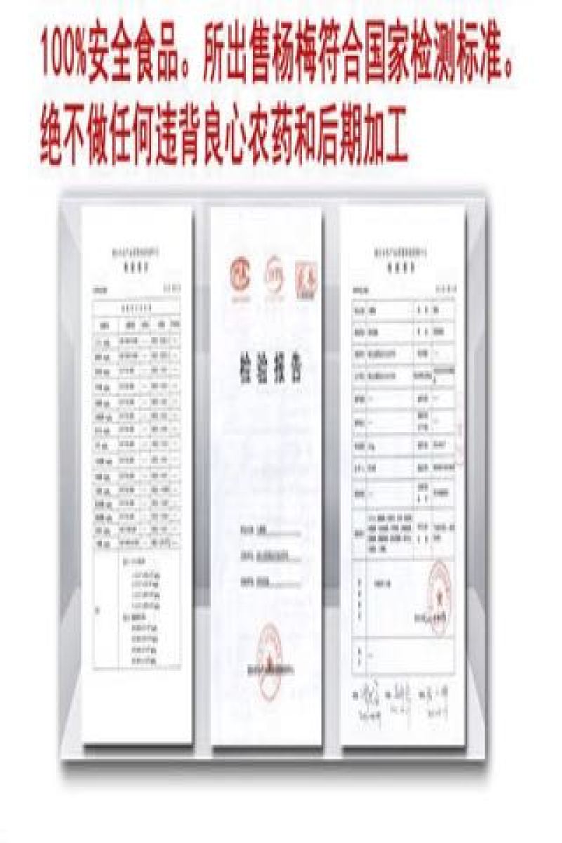 仙居杨梅2.5~3cm