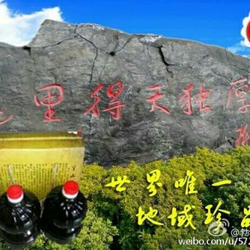 菜油一级