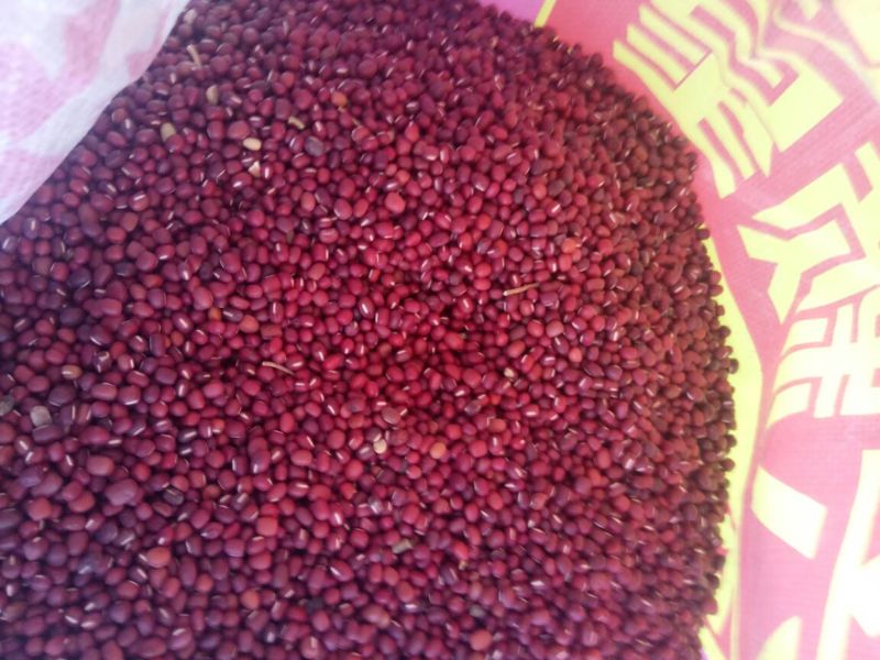 赤花小豆散装