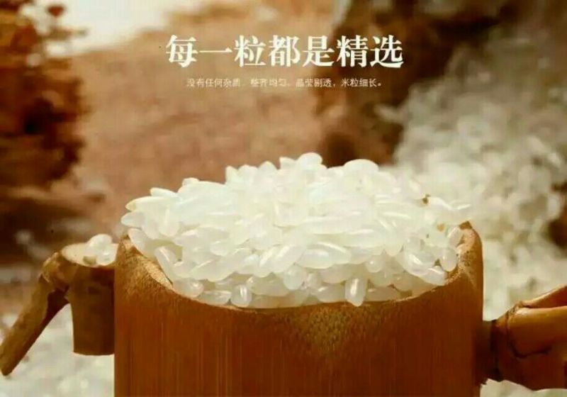 稻花香，黑龙江省五常市孝德商贸有限公司，常年批发零售