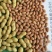 花育23号干货带壳